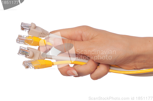 Image of LAN cords