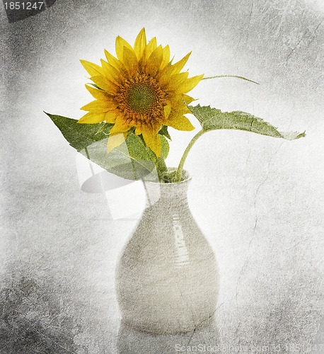 Image of Sunflower In A Vase