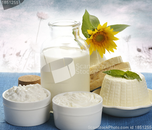 Image of Dairy Products