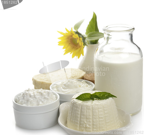 Image of Dairy Products 