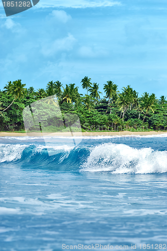 Image of exotic island with palm trees