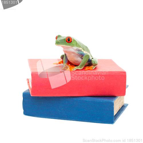 Image of Frog on Science Books