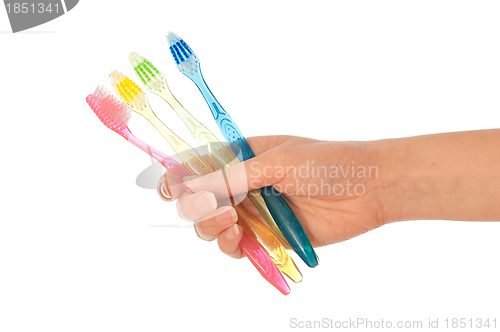 Image of toothbrushes