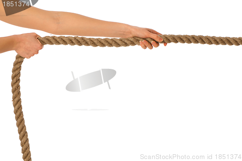 Image of tug of war