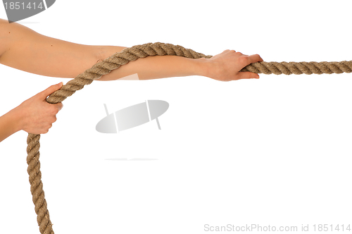 Image of tug of war