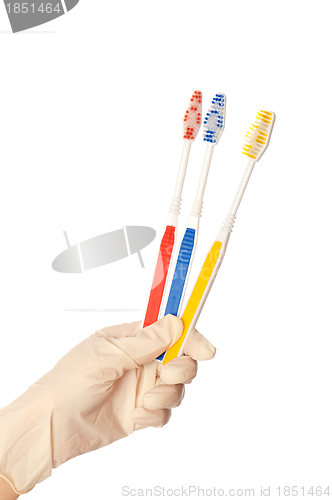 Image of toothbrushes