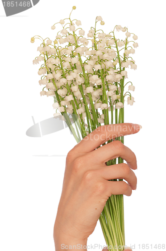 Image of lily of the valley