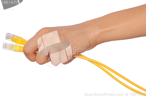 Image of LAN cords