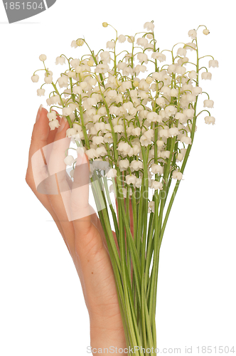 Image of lily of the valley