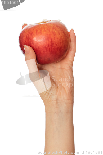 Image of red apple