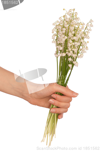 Image of lily of the valley