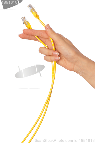 Image of LAN cords