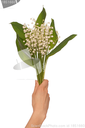 Image of lily of the valley