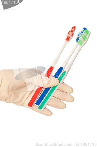 Image of toothbrushes