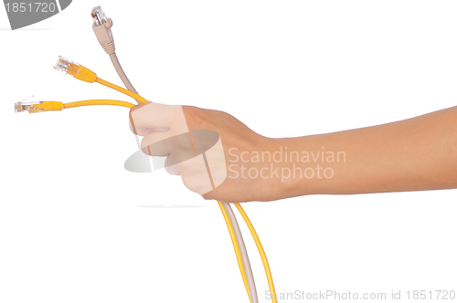 Image of LAN cords