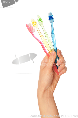 Image of toothbrushes