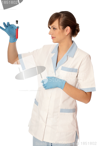 Image of sample of bloods