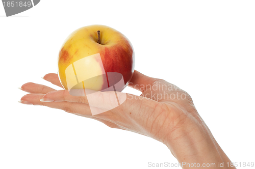 Image of yellow with red-edged apple