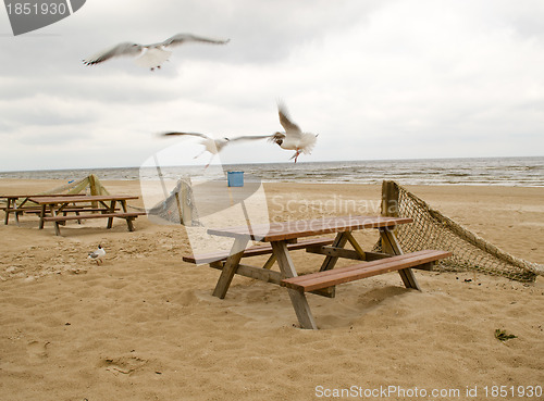Image of Blur seagull fly near wooden tables and fence net 