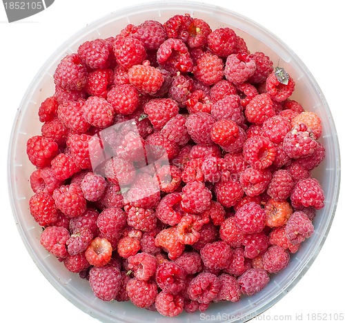 Image of sweet raspberry fruit