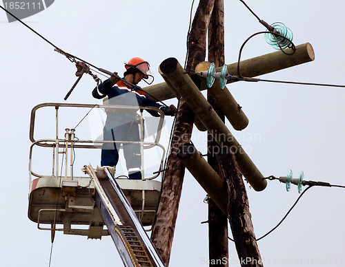 Image of Electrician connects wires on the power line