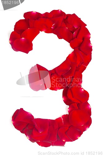 Image of number 3  made from red petals rose on white