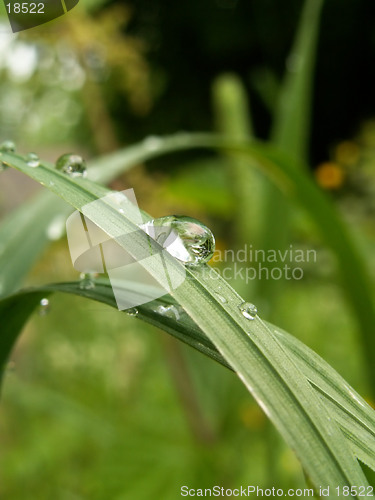 Image of drop of rain 2