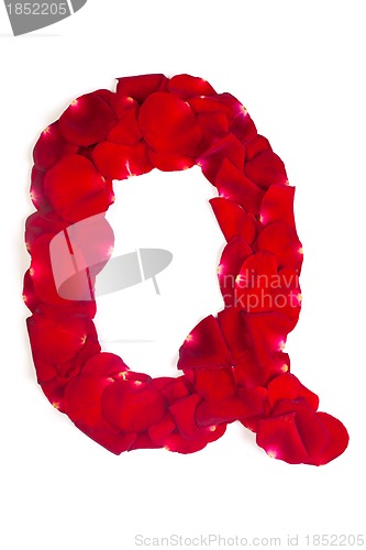 Image of Letter Q made from red petals rose on white