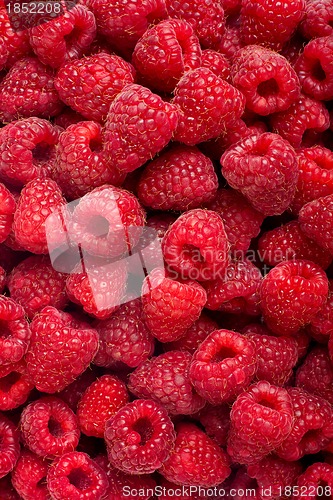 Image of Ripe rasberry fruit horizontal close up background.