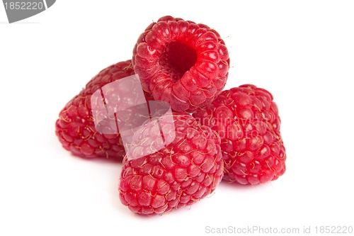 Image of Group of some raspberries on a white background. Close up macro 