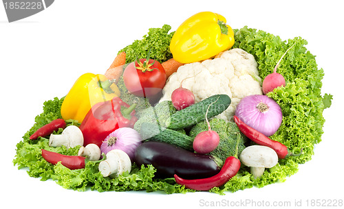 Image of Vegetables