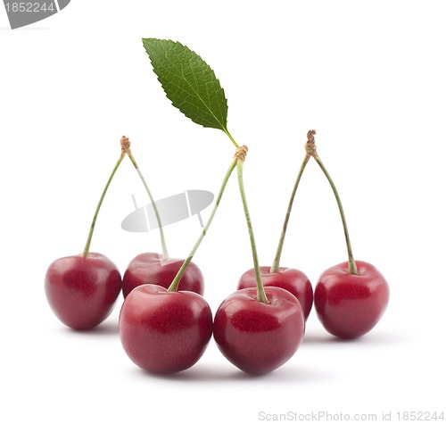 Image of Red cherries