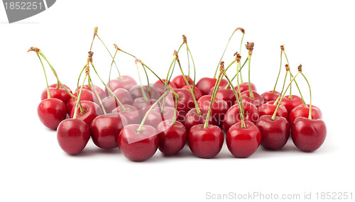 Image of Red cherries