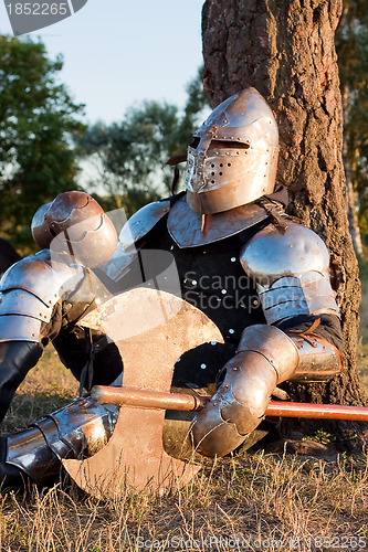 Image of Medieval knight