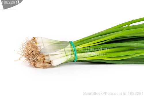 Image of Fresh scallions isolated on white