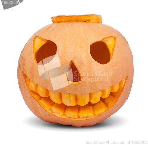 Image of Halloween pumpkin