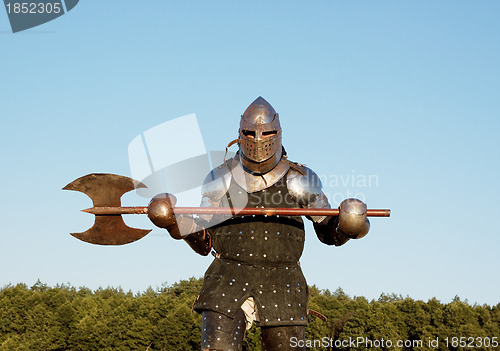 Image of Medieval knight