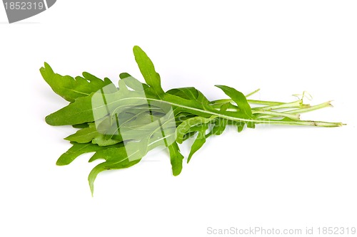 Image of Arugula/rucola  fresh heap leaf on white