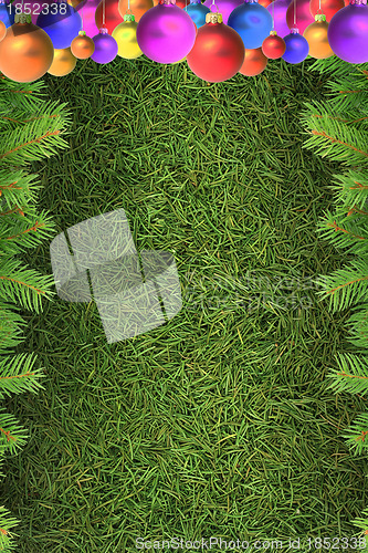 Image of Christmas spruce  texture