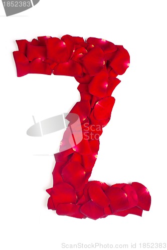 Image of Letter Z made from red petals rose on white