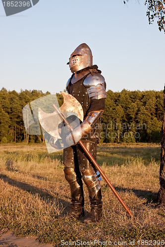 Image of Medieval knight