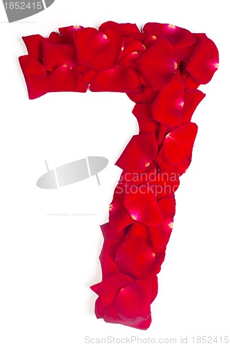 Image of number 7 made from red petals rose on white