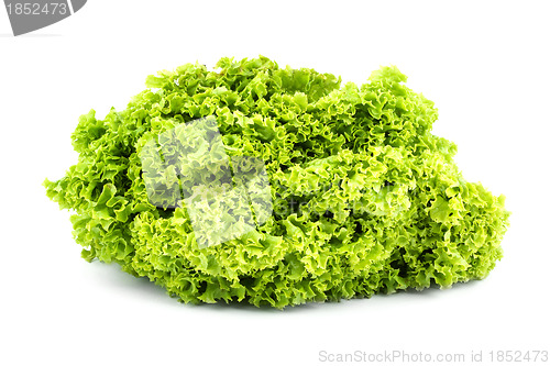 Image of Green butter Lettuce