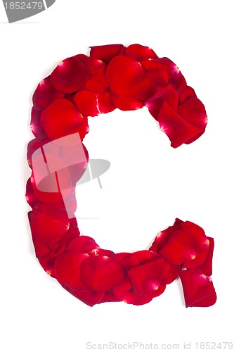 Image of Letter G made from red petals rose on white