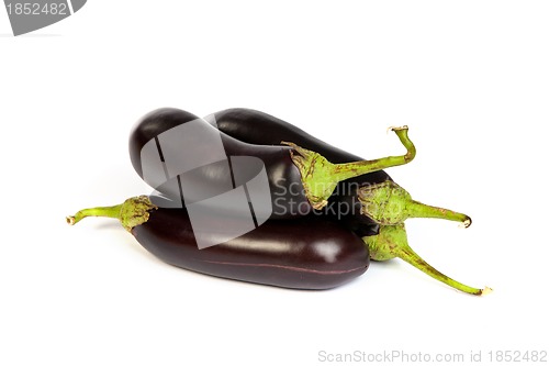 Image of Three large eggplant, over white background