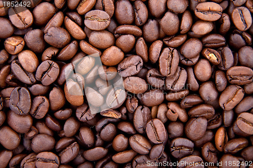 Image of Background of coffee bean
