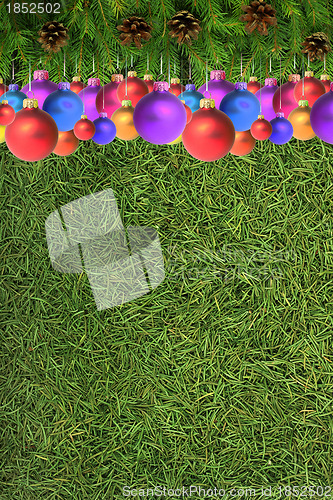 Image of Christmas spruce  texture
