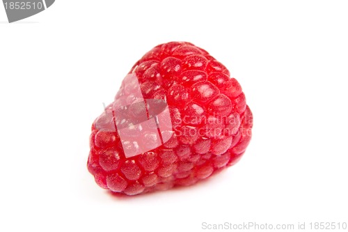 Image of Single fresh raspberry, isolated on  white. Close up macro shot
