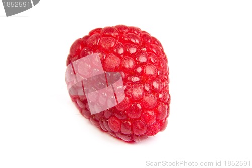 Image of Single fresh raspberry, isolated on  white. Close up macro shot