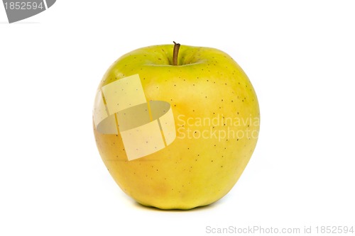 Image of A shiny green apple isolated on white